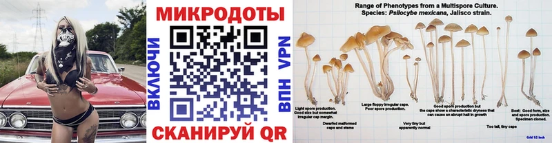 где можно купить наркотик  Заволжск  Псилоцибиновые грибы MAGIC MUSHROOMS 